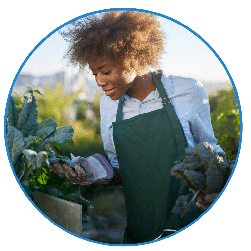 A woman in a garden tending to kale plants, wearing green overalls and gloves, as part of an agriculture entrepreneurship program, with sunlight highlighting her curly hair.